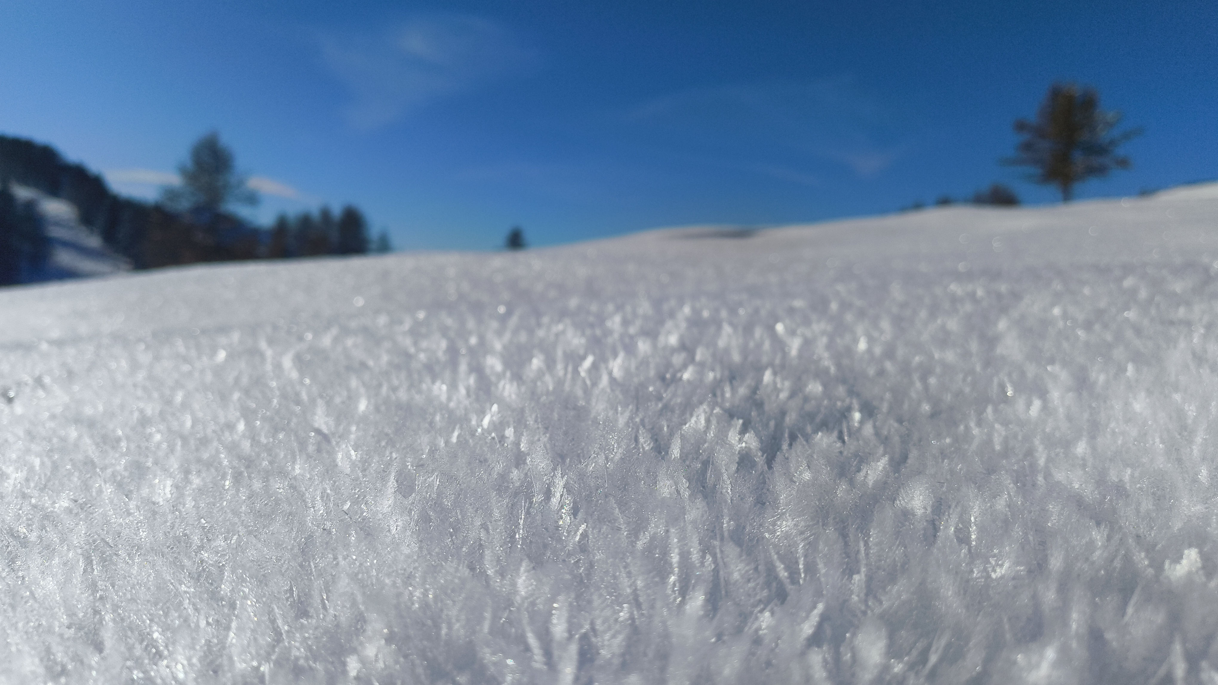 Foto n° 11 del trekking Cimone di Margno